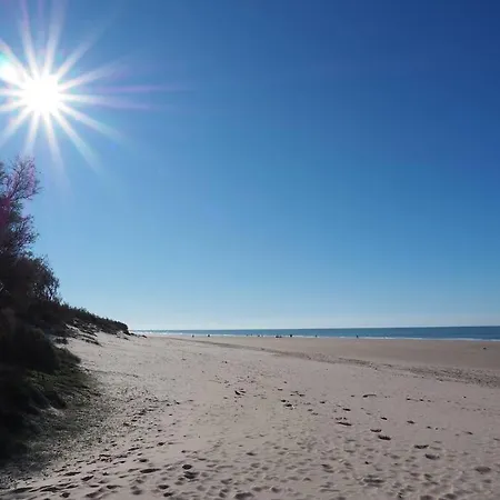 Bonito Entero Cerca De La Playa * Rota
